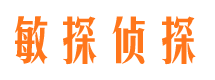 河东区市调查公司